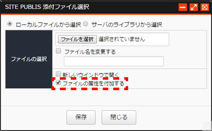 tenpufilezokuseiformat_03.png