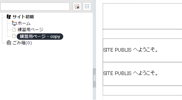 /publis4-edit/library/publis4/guide/startup/copy06.png