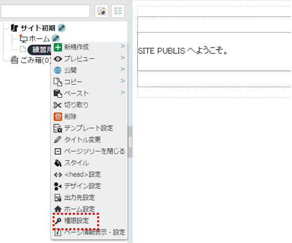 /publis4-edit/library/publis4/guide/startup/group05.png