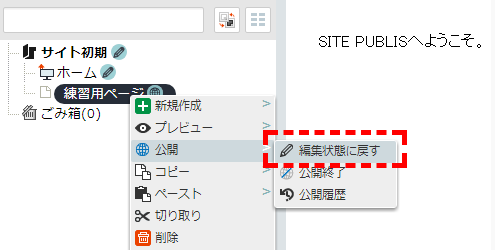 /publis4-edit/library/publis4/guide/startup/reedit01.png