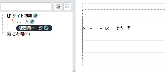 /publis4-edit/library/publis4/guide/startup/reedit03.png