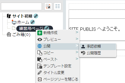 /publis4-edit/library/publis4/guide/startup/route13.png