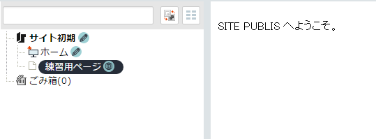/publis4-edit/library/publis4/guide/startup/route21.png