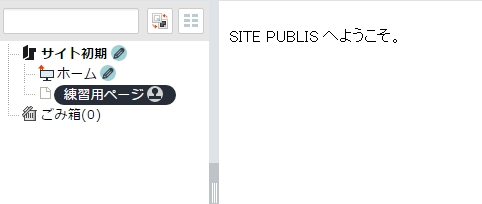 /publis4-edit/library/publis4/guide/startup/syonin05.png