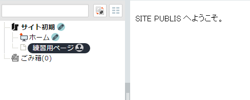 /publis4-edit/library/publis4/guide/startup/syonin08.png