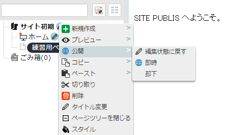 /publis4-edit/library/publis4/guide/startup/syonin09.png